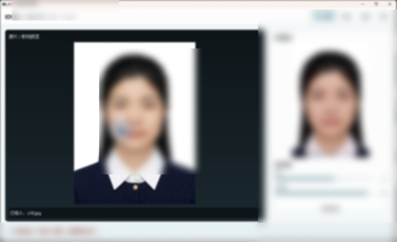 IDVIS 证照采集系统单人采集界面